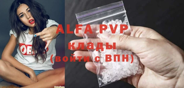 сатива Инта