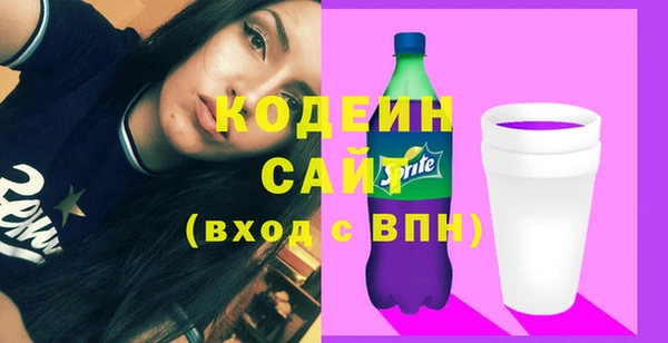 сатива Инта