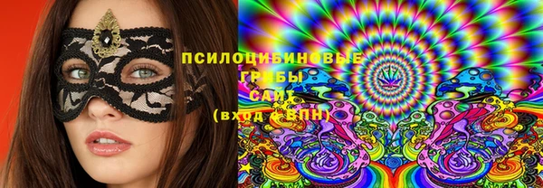 сатива Инта