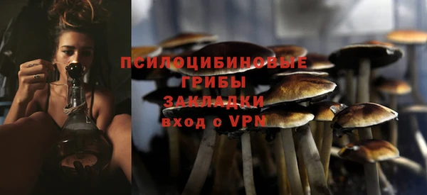 прущая мука Иннополис