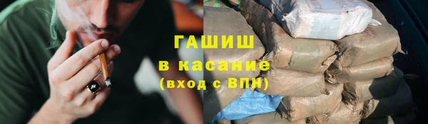сатива Инта