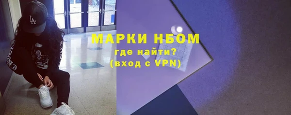 сатива Инта