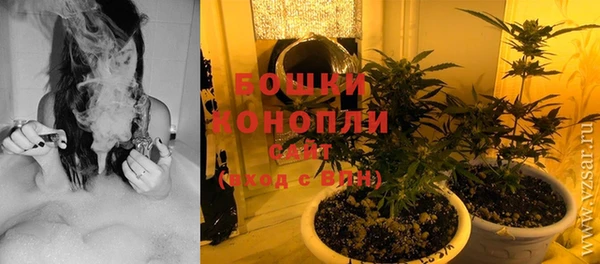 сатива Инта