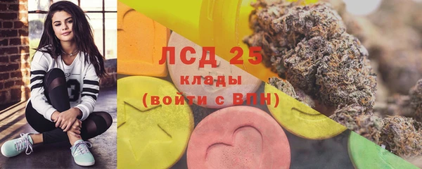 сатива Инта