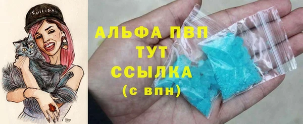 прущая мука Иннополис