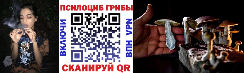 Купить закладки  Билибино  Псилоцибиновые грибы Magic Shrooms 
